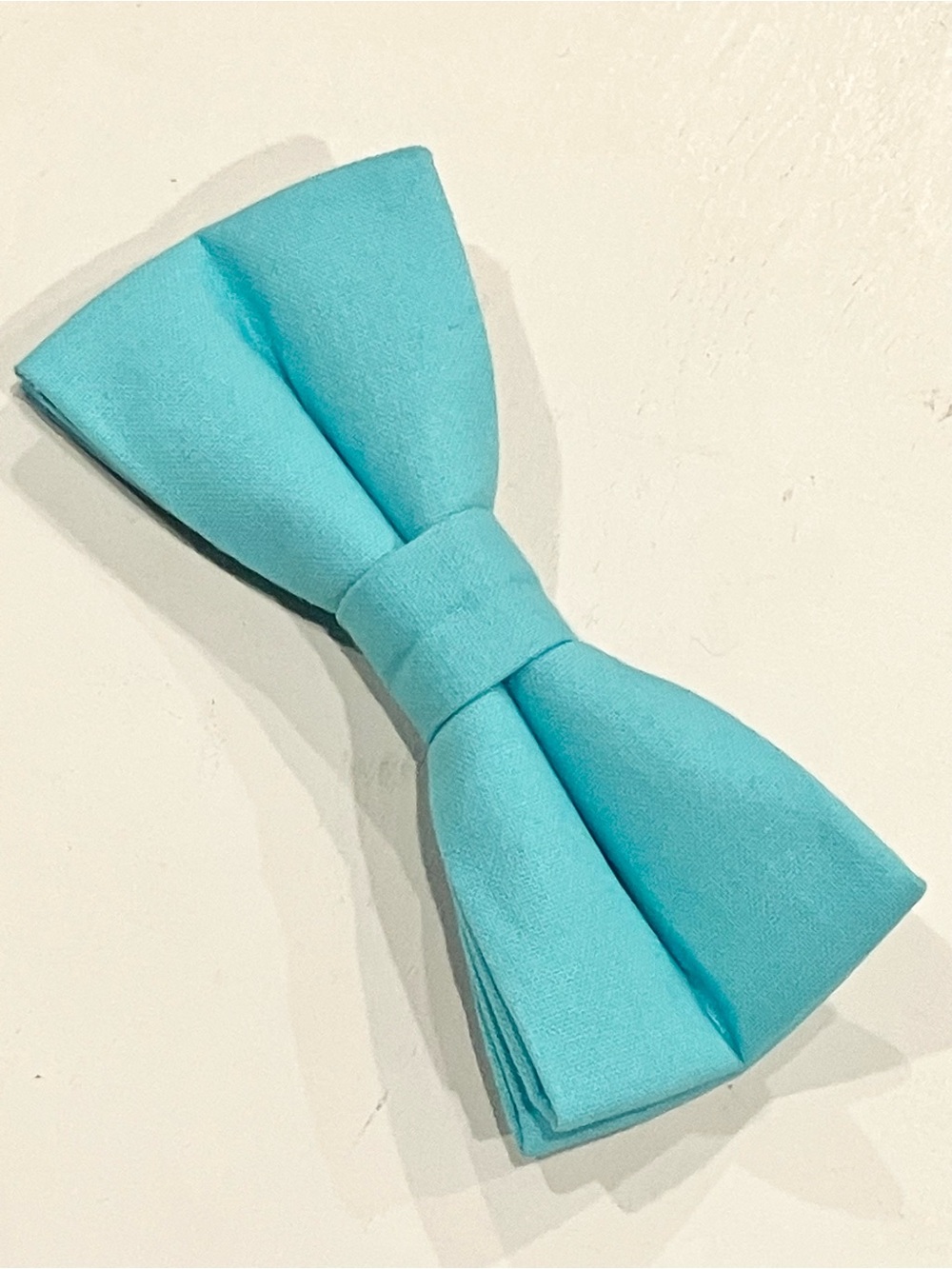 Pet Bowtie in Light Blue